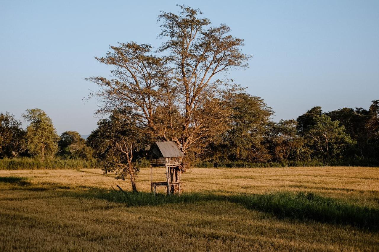Roy's * Sigiriya